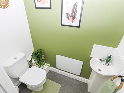 Picture 8